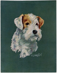 Vintage calendar/poster prints of dogs